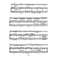 Sonata for Flute and BC "Hallenser No. 3" : HWV 376 B minor